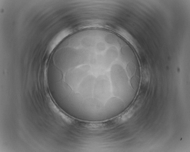 X0000062851290200601131340