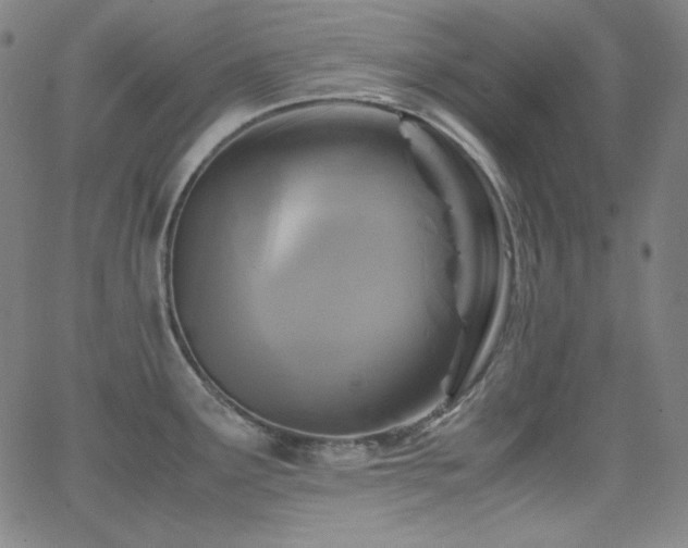 X0000062851291200601131340