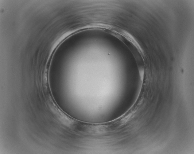 X0000062851292200601131340