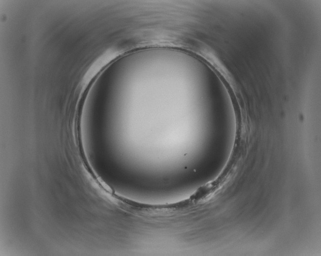 X0000062851293200601131340