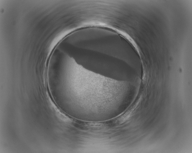 X0000062851295200601131340