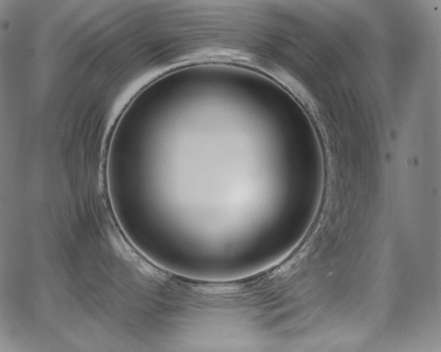 X0000062851296200601131340