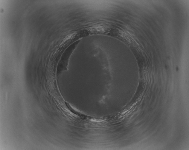 X0000062851297200601131339