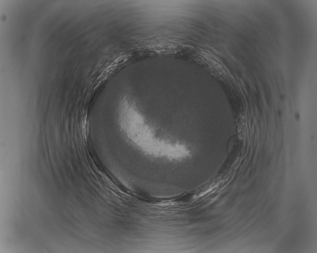 X0000062851298200601131339