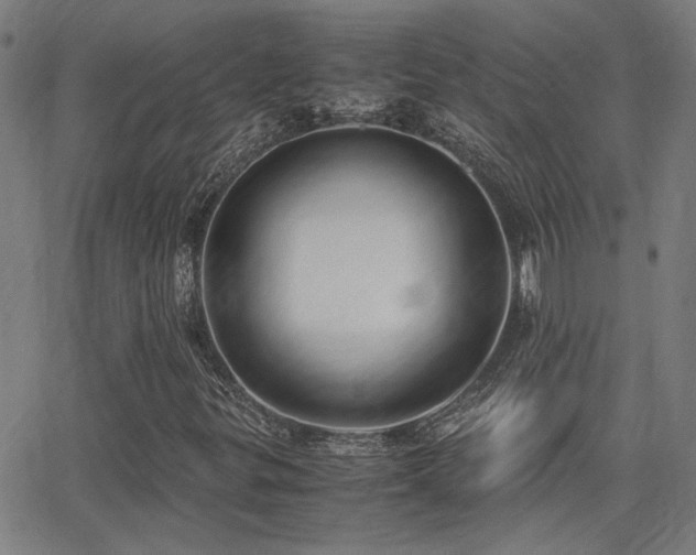 X0000062851299200601131339