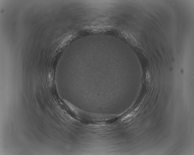 X0000062851300200601131339