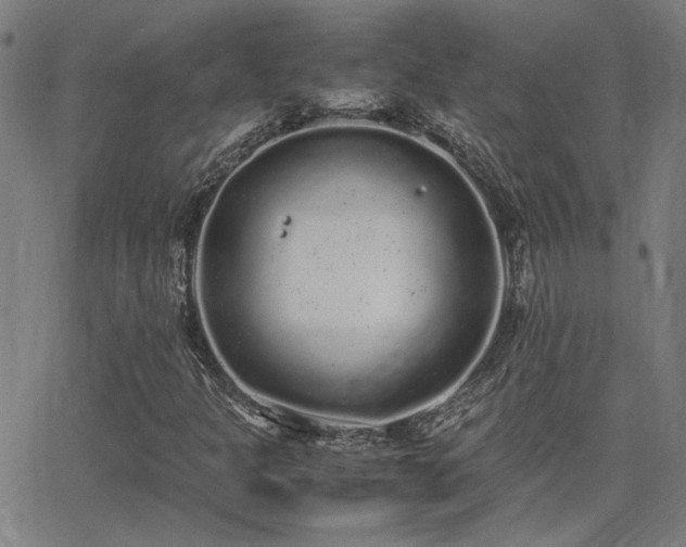 X0000062851301200601131339