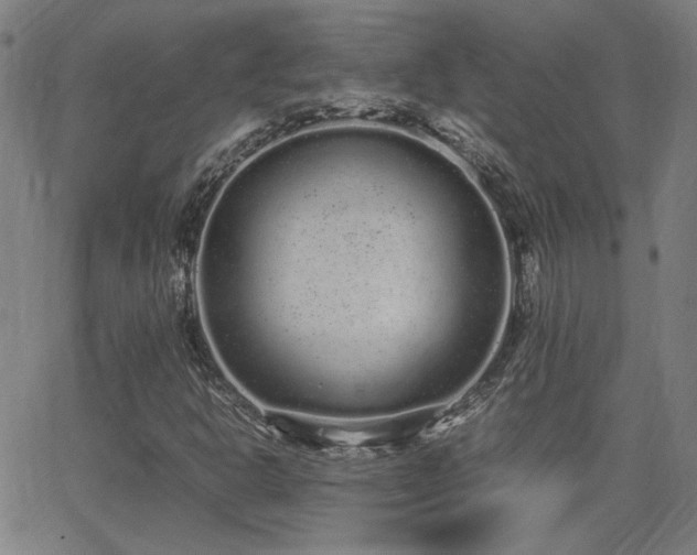 X0000062851302200601131339