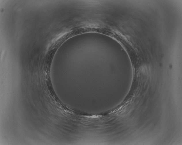 X0000062851303200601131339