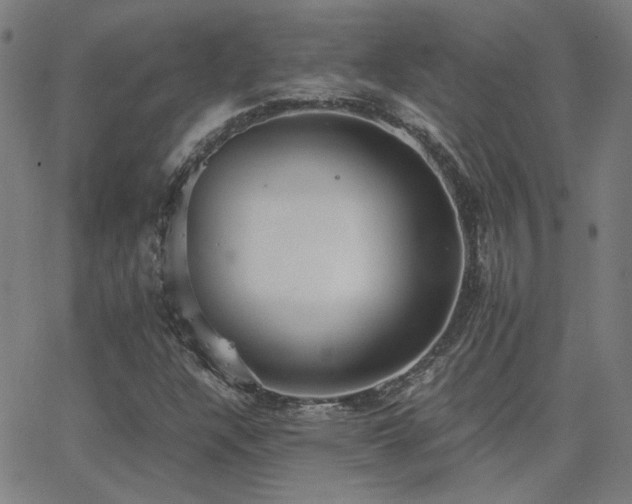 X0000062851304200601131339