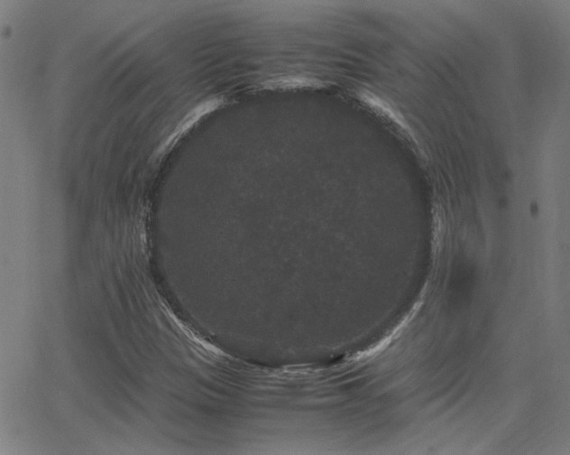 X0000062851305200601131339