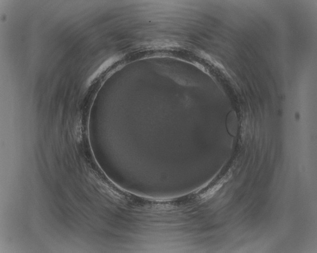 X0000062851306200601131339