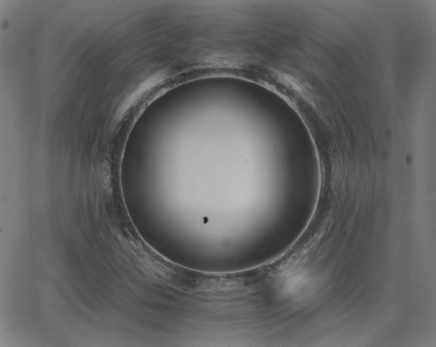 X0000062851307200601131339