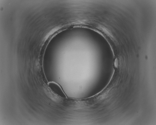 X0000062851308200601131339