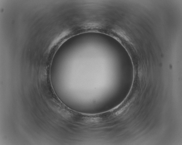 X0000062851309200601131339