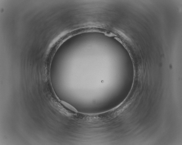 X0000062851310200601131339