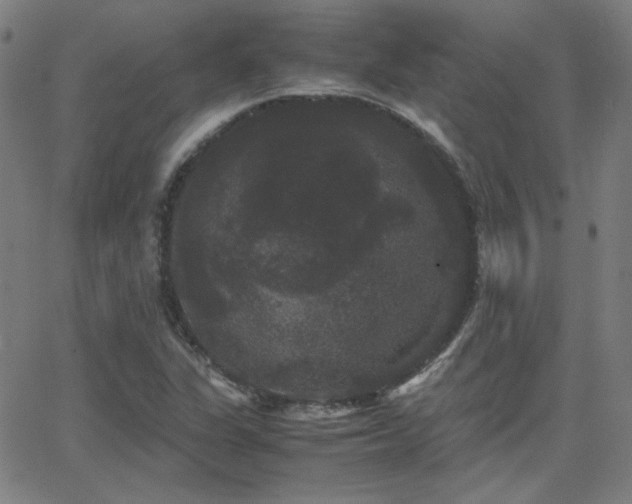 X0000062851311200601131339