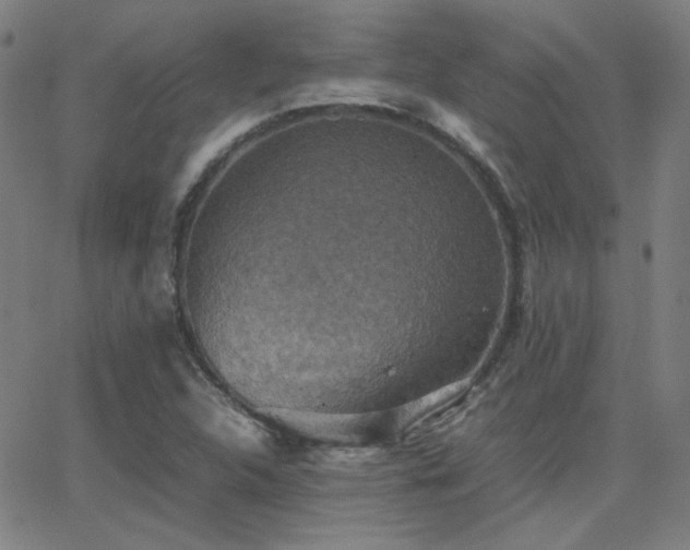 X0000062851312200601131339