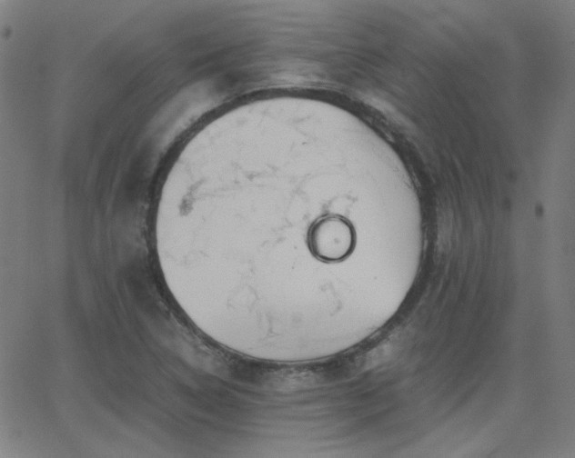 X0000062851314200601131339