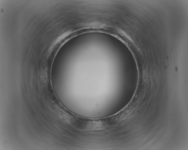 X0000062851315200601131339