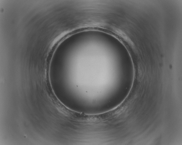 X0000062851316200601131339