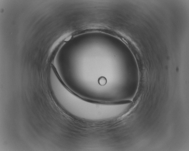 X0000062851317200601131339