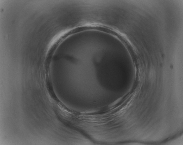 X0000062851319200601131339