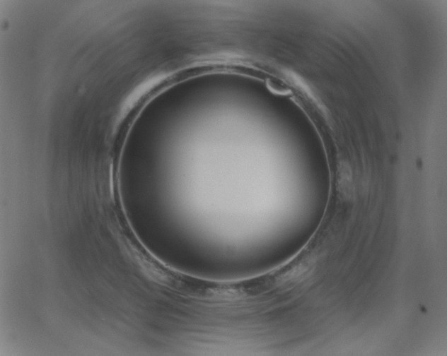 X0000062851320200601131339