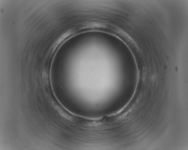 X0000062851321200601131339