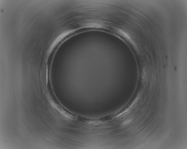 X0000062851323200601131339