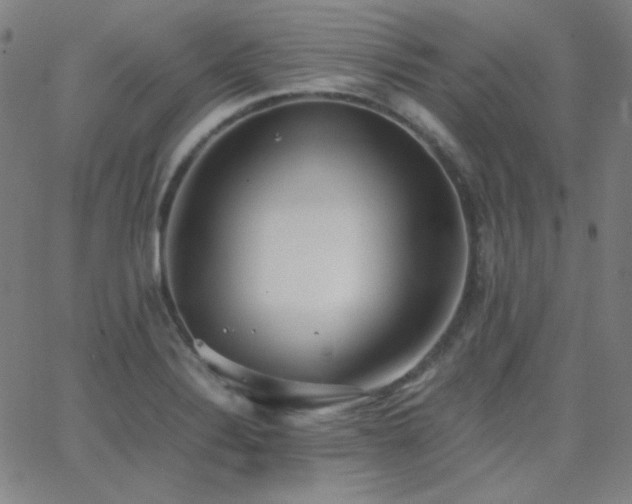 X0000062851324200601131339