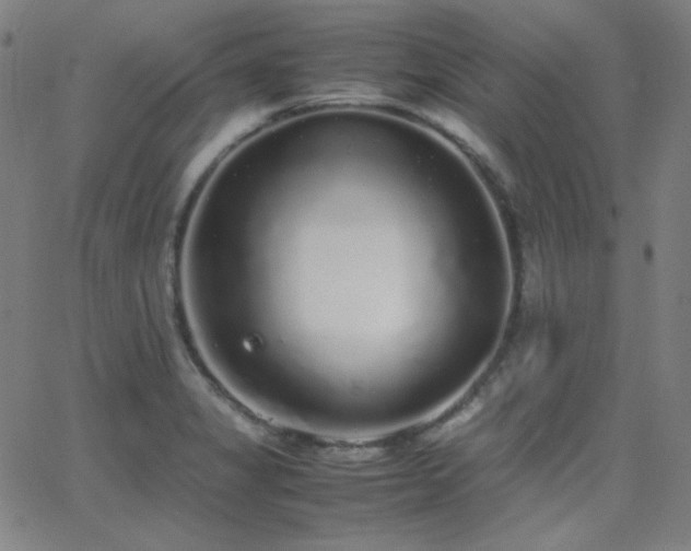 X0000062851325200601131339