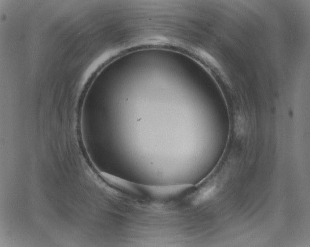 X0000062851326200601131339