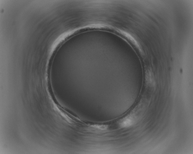 X0000062851327200601131339