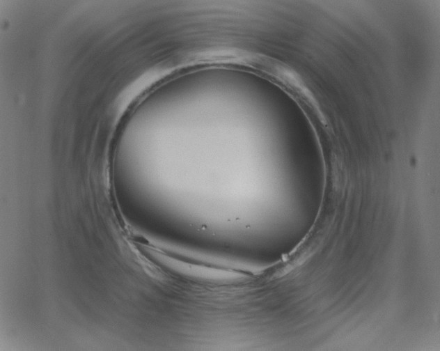 X0000062851328200601131340