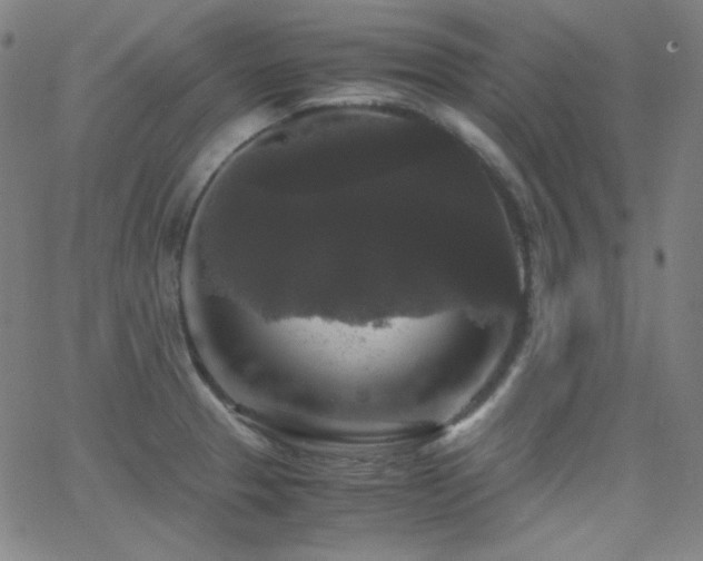 X0000062851329200601131340