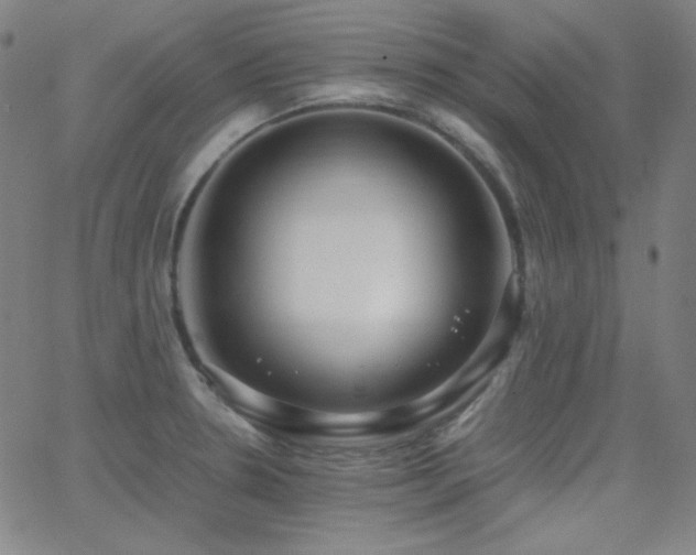 X0000062851330200601131340