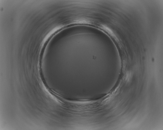 X0000062851331200601131340