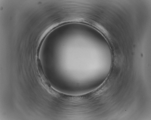 X0000062851332200601131340