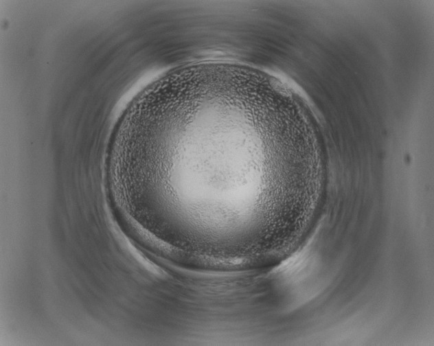 X0000062851333200601131340