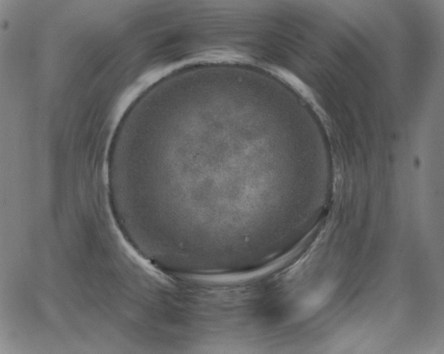 X0000062851335200601131340