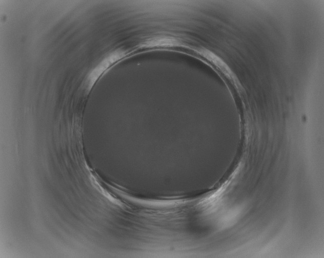 X0000062851337200601131340