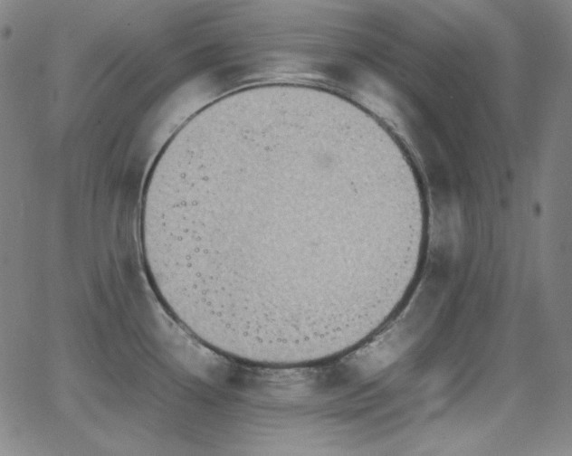 X0000062851338200601131340