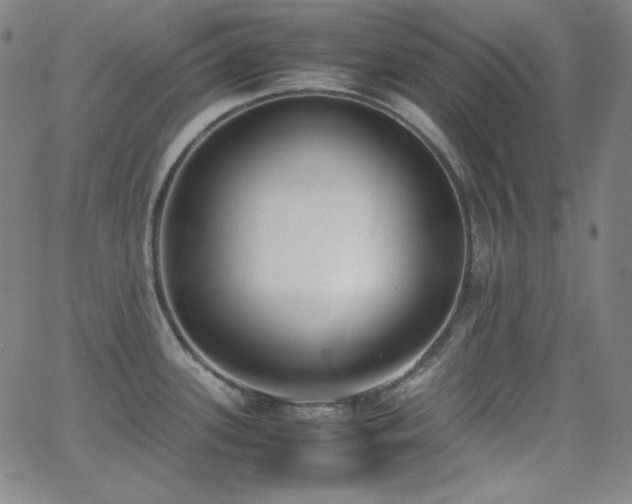 X0000062851339200601131340