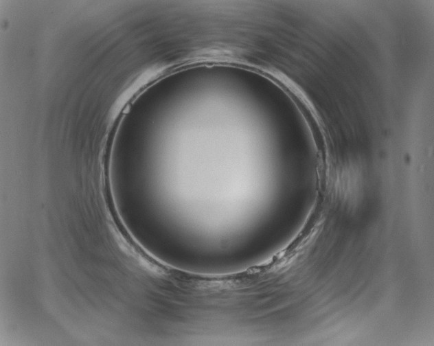 X0000062851341200601131340