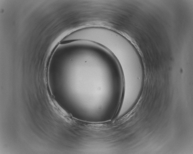 X0000062851342200601131340