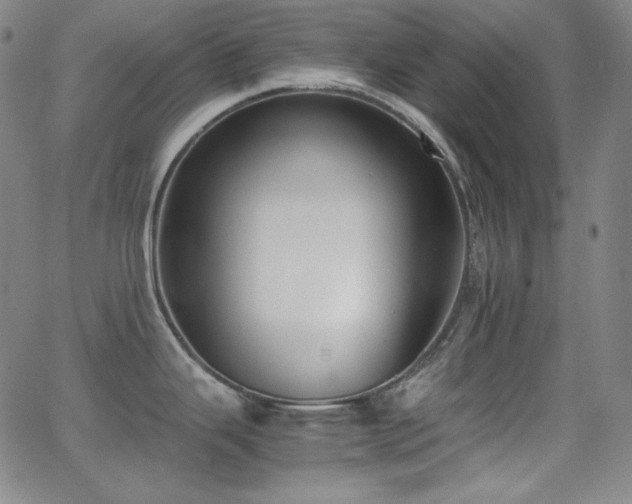 X0000062851343200601131340