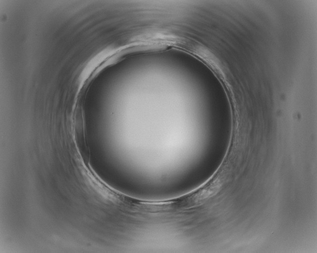 X0000062851344200601131340