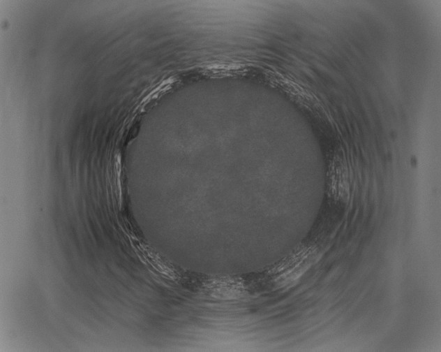 X0000062851346200601131339