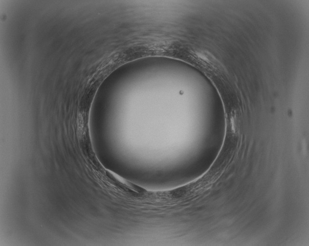 X0000062851347200601131339